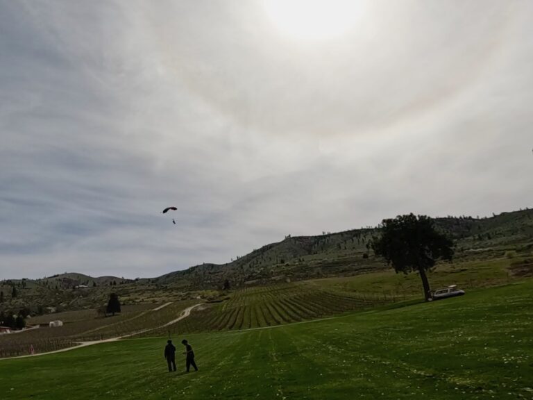 Two people stand in a large, open, grassy area with vineyards, watching a skydiver under a sunlit sky with scattered clouds. Trees and rolling hills frame the scene.